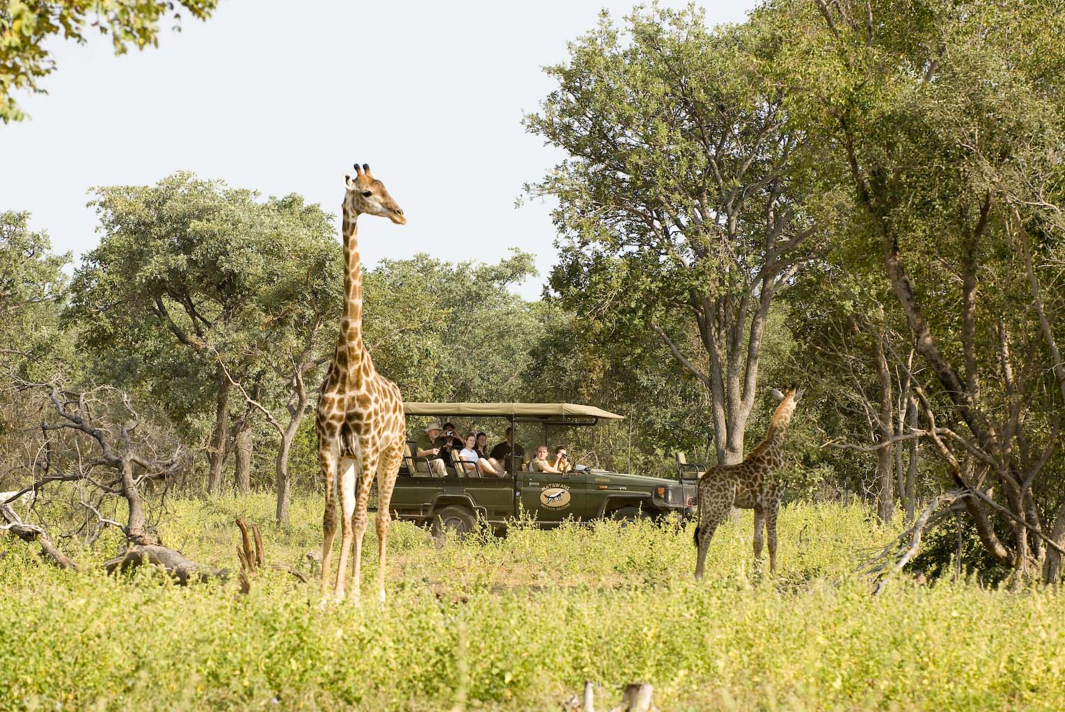 safari zuid afrika prijs